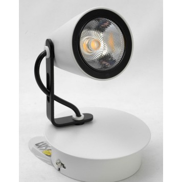 Спот Lussole Loft LSN-4101-01-1