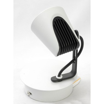 Спот Lussole Loft LSN-4101-01-2