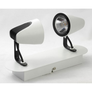 Спот Lussole Loft LSN-4101-02-2