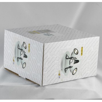 Спот Lussole Loft LSN-4101-03-3