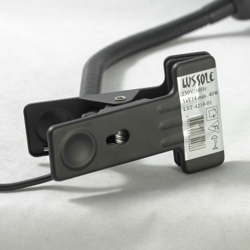 Лампа настольная Lussole Roma LST-4214-01-2