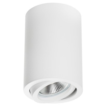 Светильник точечный Lightstar Rullo 214406