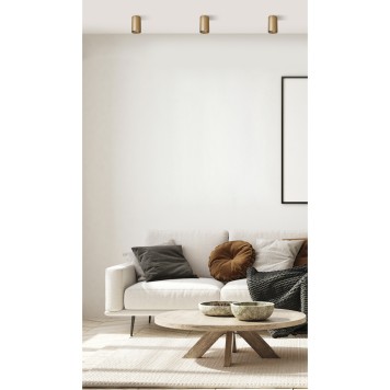 Светильник точечный Lightstar Rullo 214440-2