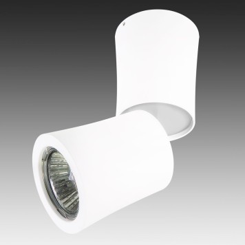 Светильник точечный Lightstar Rotonda 214456