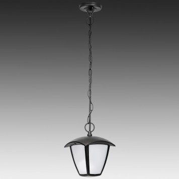 Уличный потолочный светильник Lightstar Lampione 375070