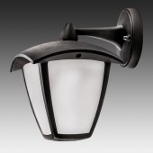 Уличный настенный светильник Lightstar Lampione 375680