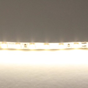 Светодиодная лента Lightstar 24V 420504