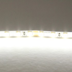 Светодиодная лента Lightstar 24V 420505 Светодиодная лента Lightstar 24V 420505