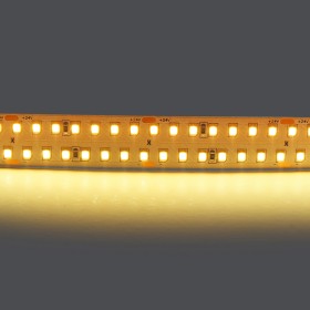 Светодиодная лента Lightstar 24V 422003