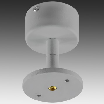 Поворотное крепление Lightstar Rullo 590009