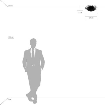 Светильник потолочный Lightstar Murano glass 601030-1