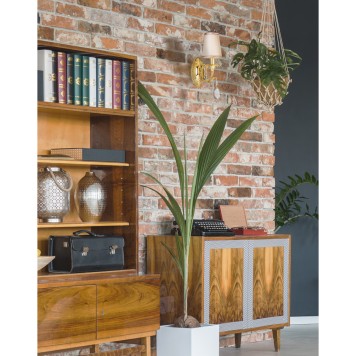 Бра Lightstar Cappa 691612-11