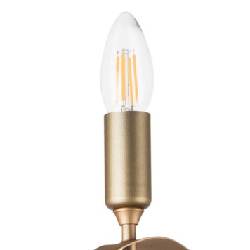 Люстра Lightstar Ragno 733283-3