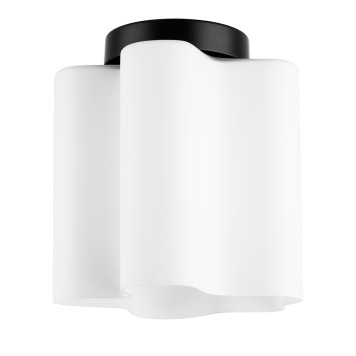 Светильник потолочный Lightstar Nubi 802017