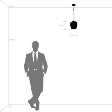 Люстра Lightstar Arnia 805011-1