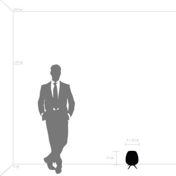 Лампа настольная Lightstar Arnia 805911-1