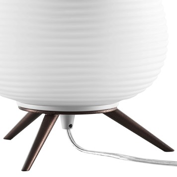 Лампа настольная Lightstar Arnia 805911-5