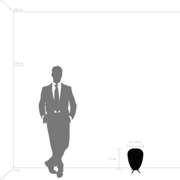 Лампа настольная Lightstar Arnia 805912-1