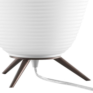 Лампа настольная Lightstar Arnia 805912-5