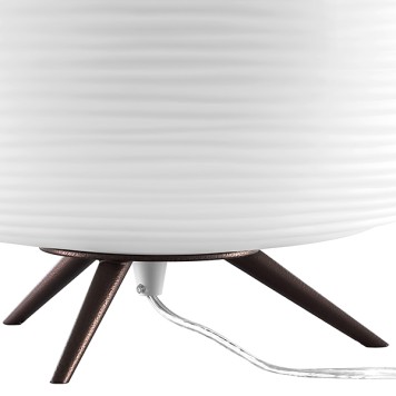 Лампа настольная Lightstar Arnia 805913-1