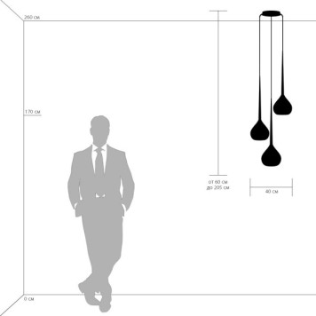 Люстра Lightstar Forma 808237-2