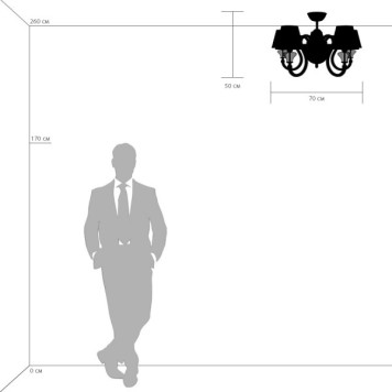 Светильник потолочный Lightstar 809057-1