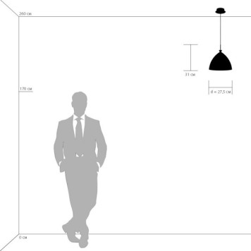 Люстра Lightstar Agola 810033-2