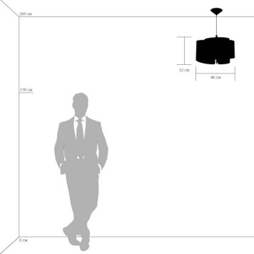 Люстра Lightstar Pittore 811132-6