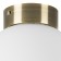 Светильник настенно-потолочный Lightstar Globo 812011