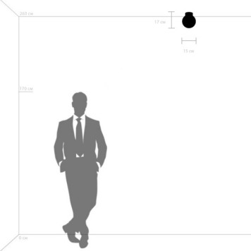 Светильник настенно-потолочный Lightstar Globo 812013-5