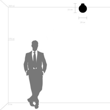 Светильник настенно-потолочный Lightstar Globo 812027-2