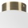 Светильник настенно-потолочный Lightstar Globo 812031
