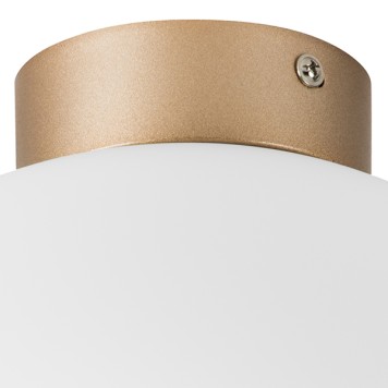 Светильник настенно-потолочный Lightstar Globo 812033-4