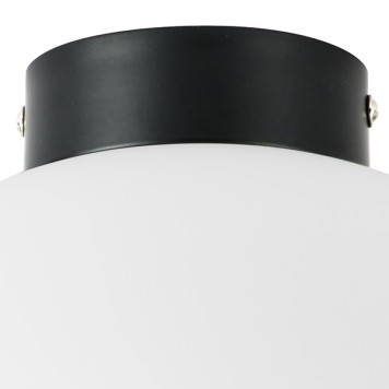 Светильник настенно-потолочный Lightstar Globo 812037-2