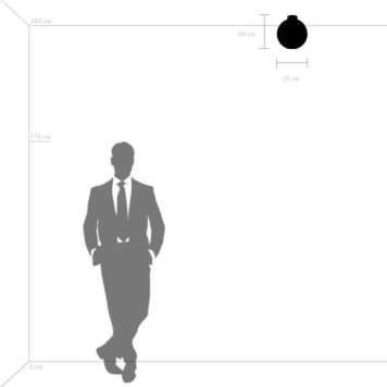 Светильник настенно-потолочный Lightstar Globo 812037-3