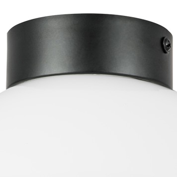 Светильник настенно-потолочный Lightstar Globo 812117-1