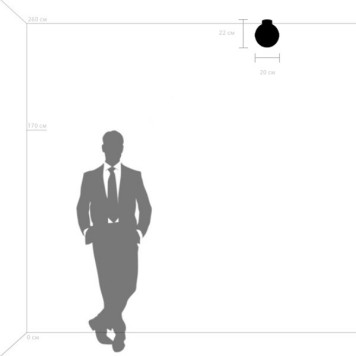 Светильник настенно-потолочный Lightstar Globo 812117-6