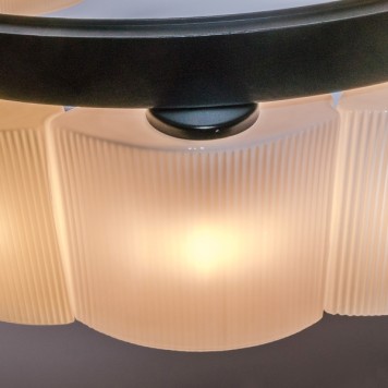 Люстра Lightstar Nibbler 812186-10