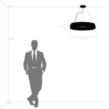 Люстра Lightstar Nibbler 812236-12