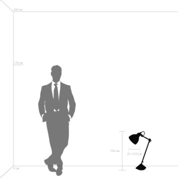 Лампа настольная Lightstar Loft 865917-7