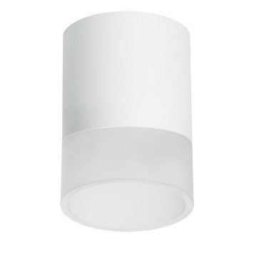 Светильник точечный Lightstar Rullo R348681