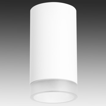 Светильник точечный Lightstar Rullo R43630