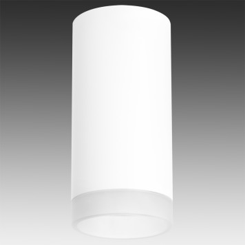 Светильник точечный Lightstar Rullo R648680