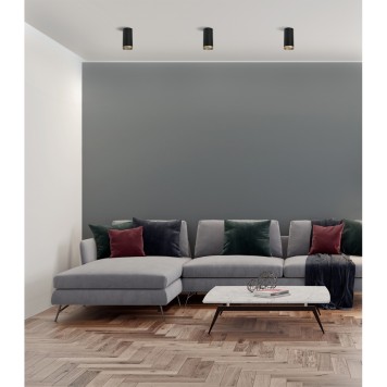 Светильник точечный Lightstar Rullo R6487490-2