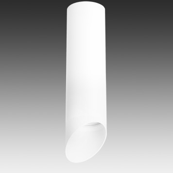 Светильник точечный Lightstar Rullo R649686