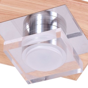 Светильник потолочный Lucia Tucci Natura 073.1 Led-2