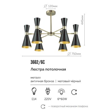 Светильник потолочный Lumion Quinn 3662/6C-2