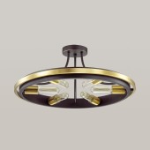 Светильник потолочный Lumion Maeve 4401/6C