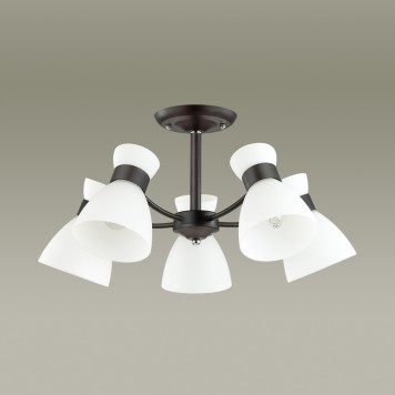 Светильник потолочный Lumion Wilma 4534/5C-2