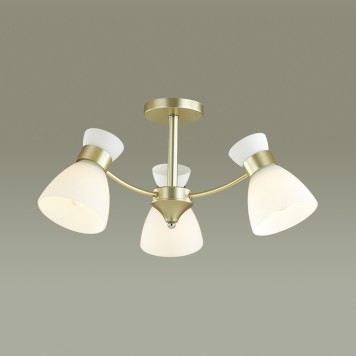 Светильник потолочный Lumion Wilma 4535/3C